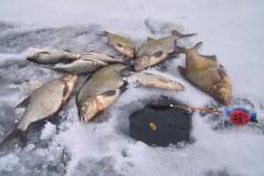 Удочка для зимней рыбалки – как выбрать?