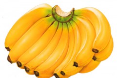 Сертификат соответствия на бананы